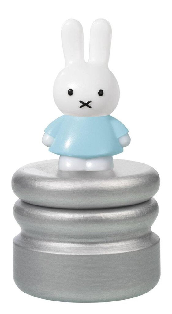 Bambolino toys nijntje tandendoosje blauw. 4+ | 6 stuks