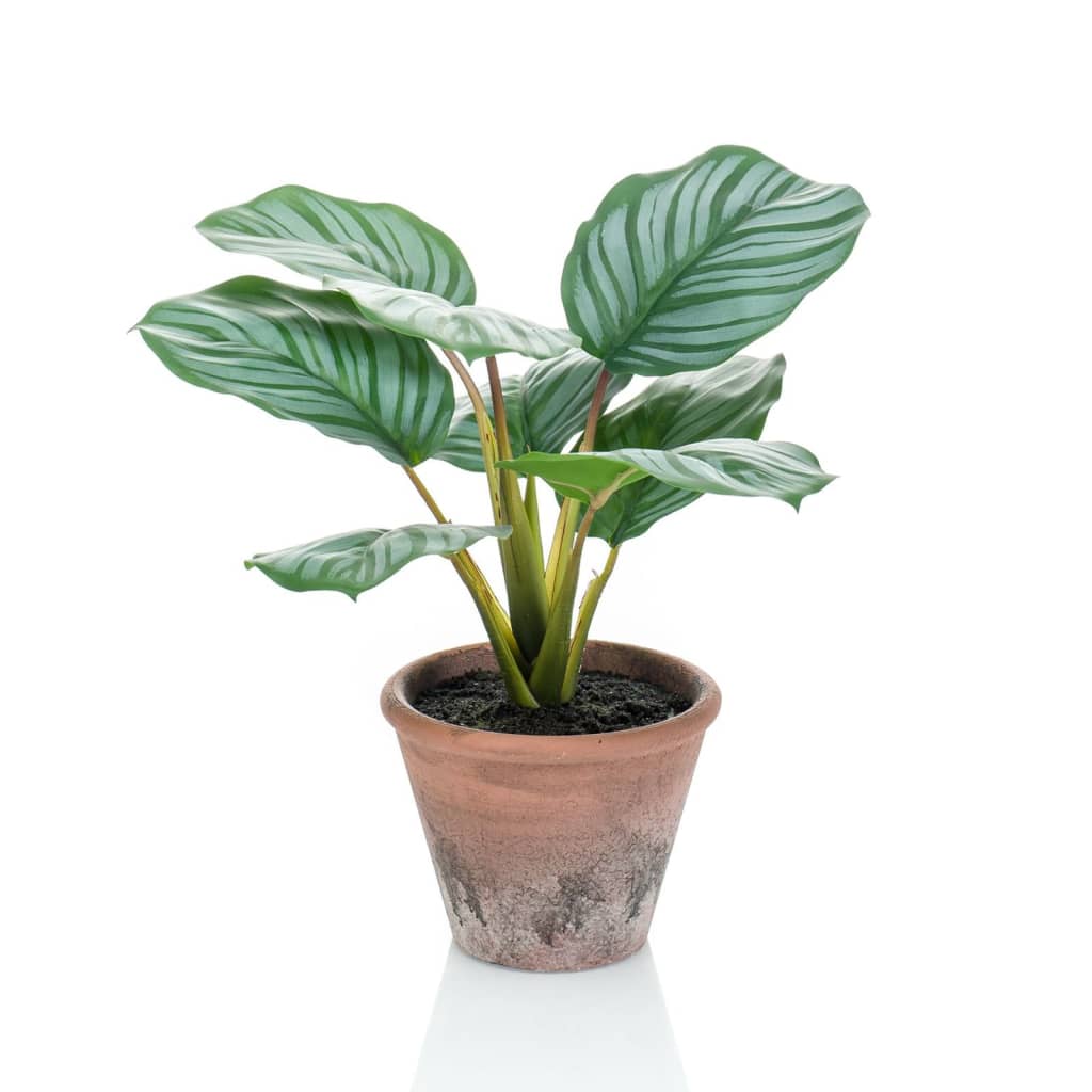 Smaragd kunstplant in pot terra calathea orbifolia 32 cm