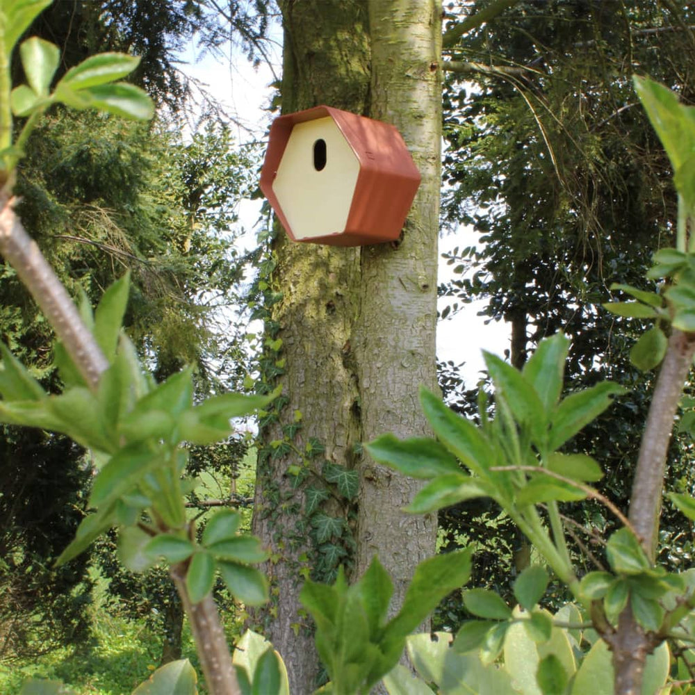 Capi Capi Vogelhuisje Kast 2 19x23x20 cm bruin