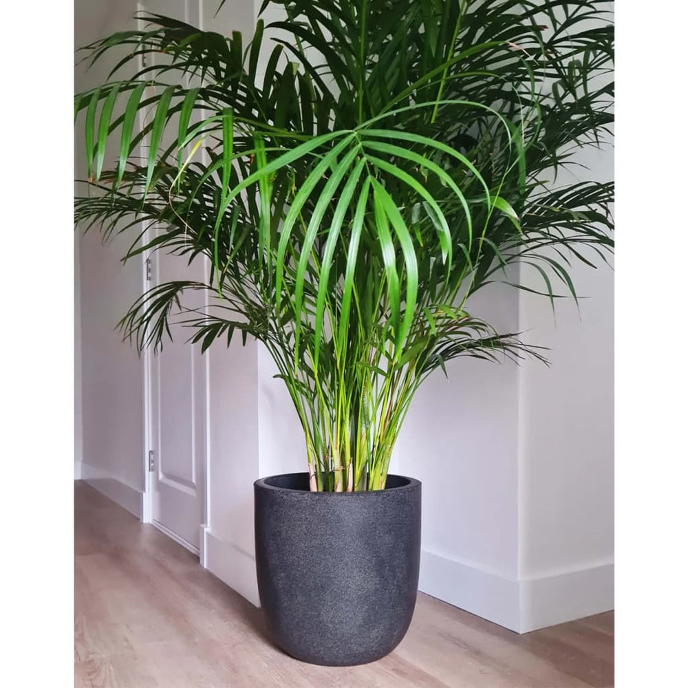 Capi Capi Plantenbak Afval Glad 35x34 cm grijs