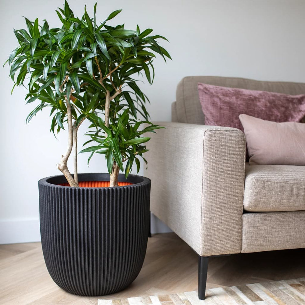 Capi plantenbak groef 35x34 cm zwart
