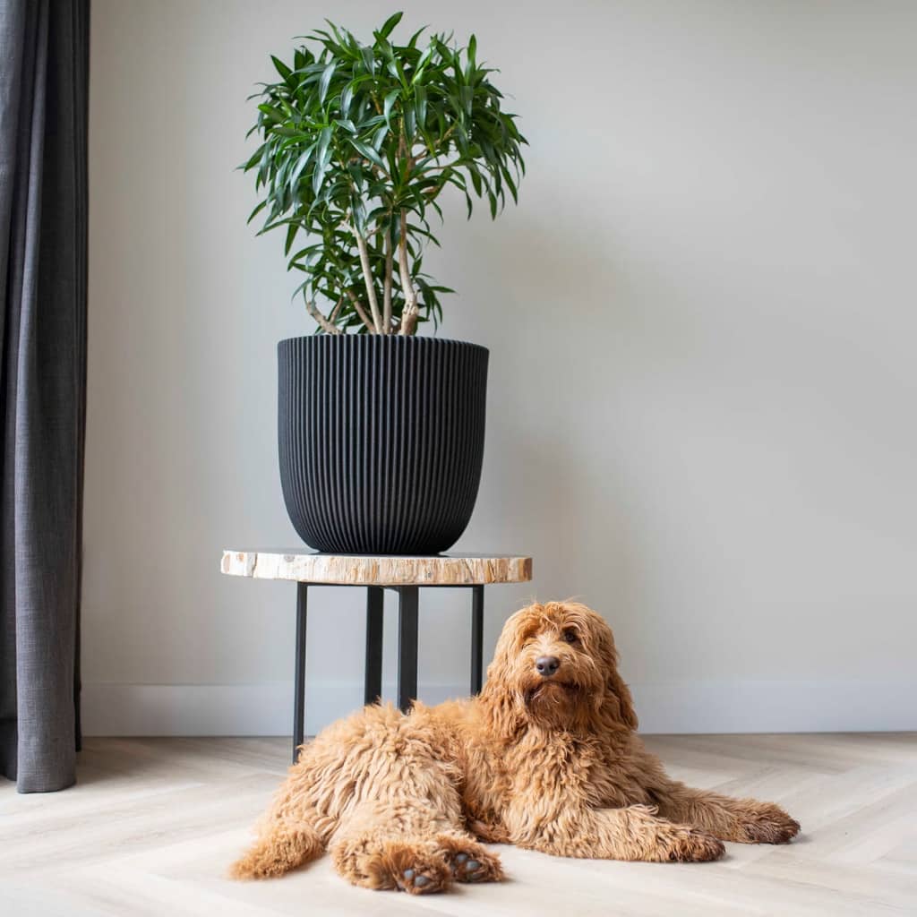 Capi Capi Plantenbak Groef 43x41 cm zwart