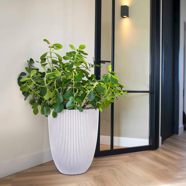Capi bloempot groove elegant 46x58 cm ivoorkleurig