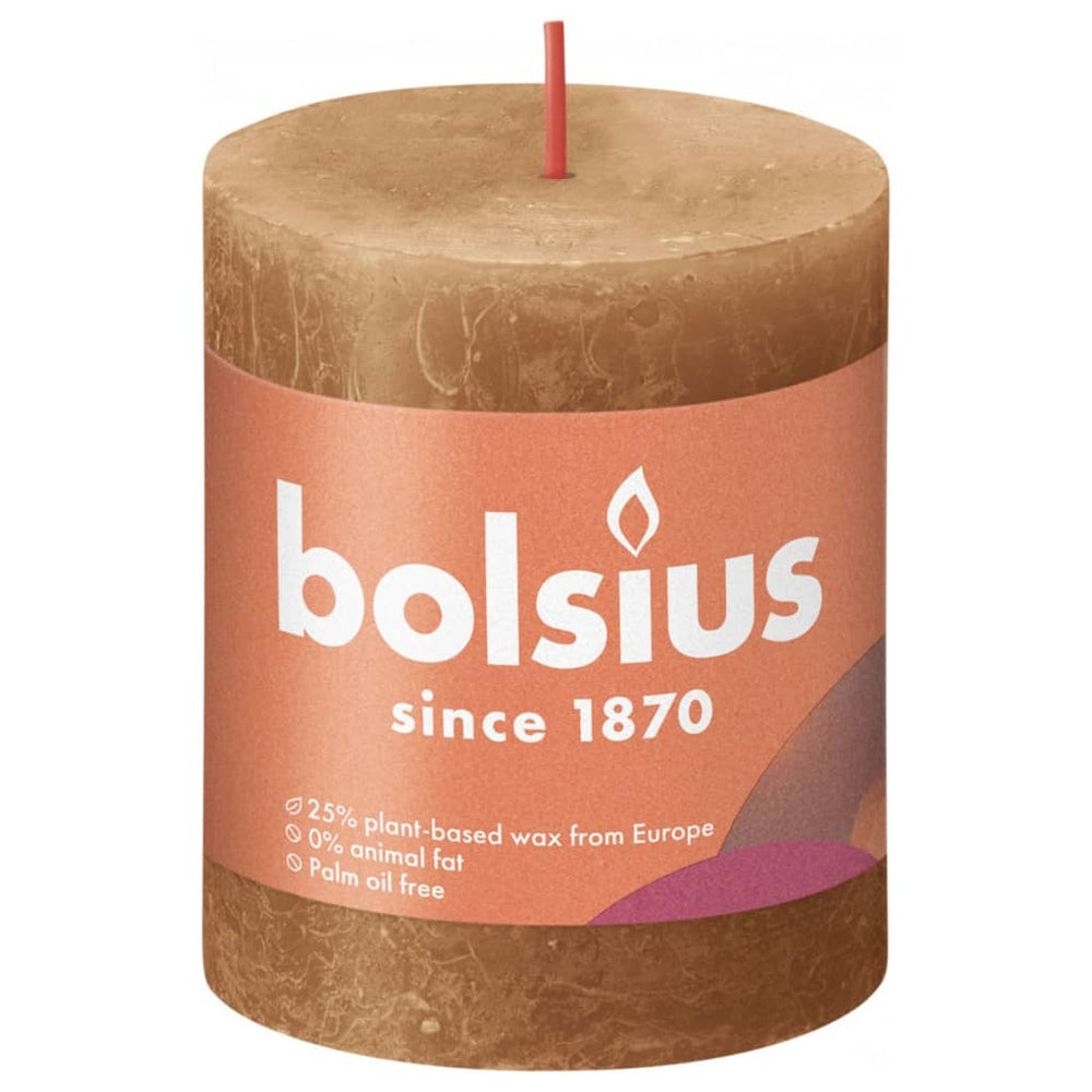 Bolsius Bolsius Stompkaarsen Shine 4 st rustiek 80x68 mm specerijenbruin