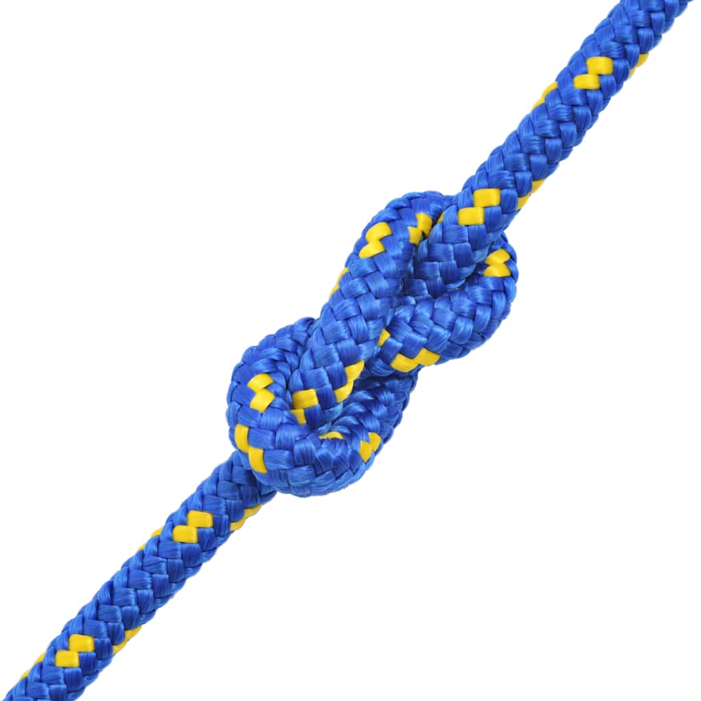 Vidaxl laars touw 10 mm 50 m polypropyleen blauw
