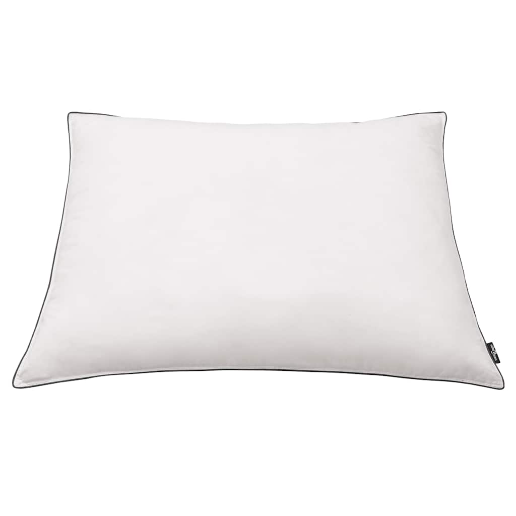 Vidaxl kussens 2 st licht 70x60 cm dons- verenvulling wit
