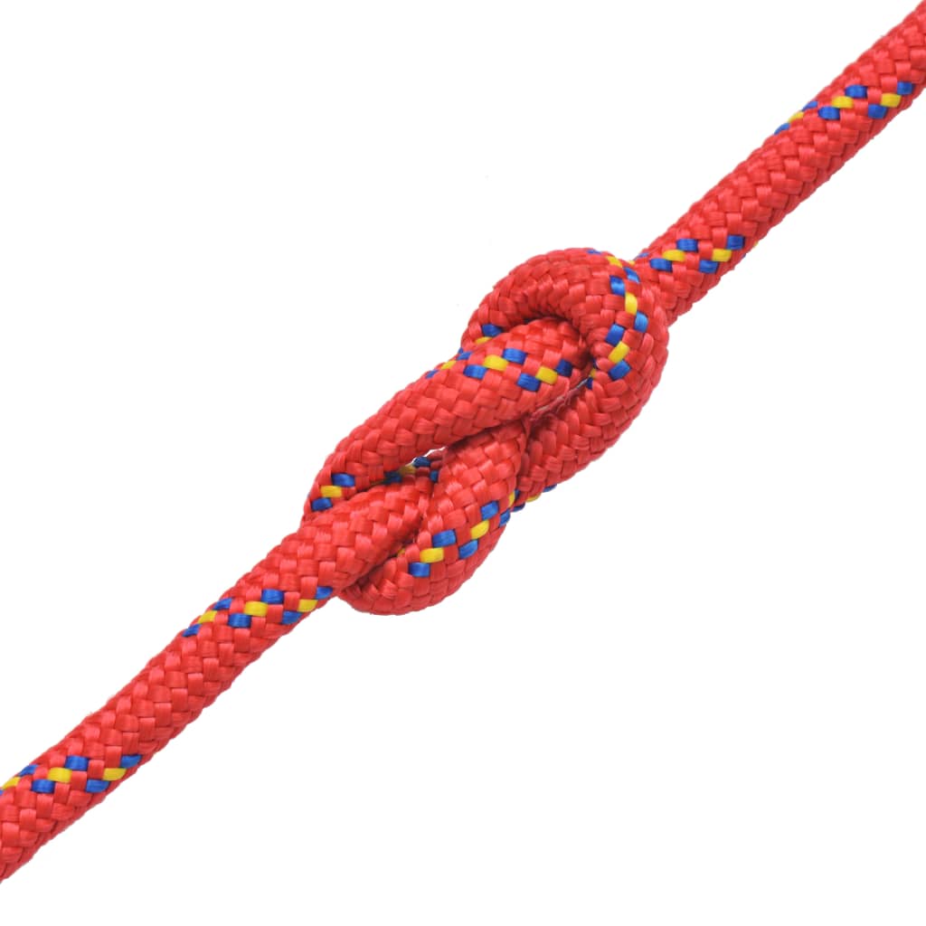 Vidaxl laarstouw 12 mm 250 m polypropyleen rood