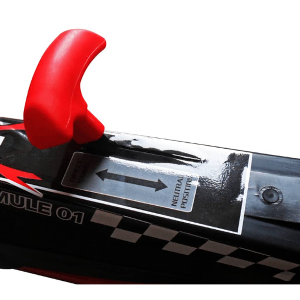 Vidaxl skelter f1 junior rood 