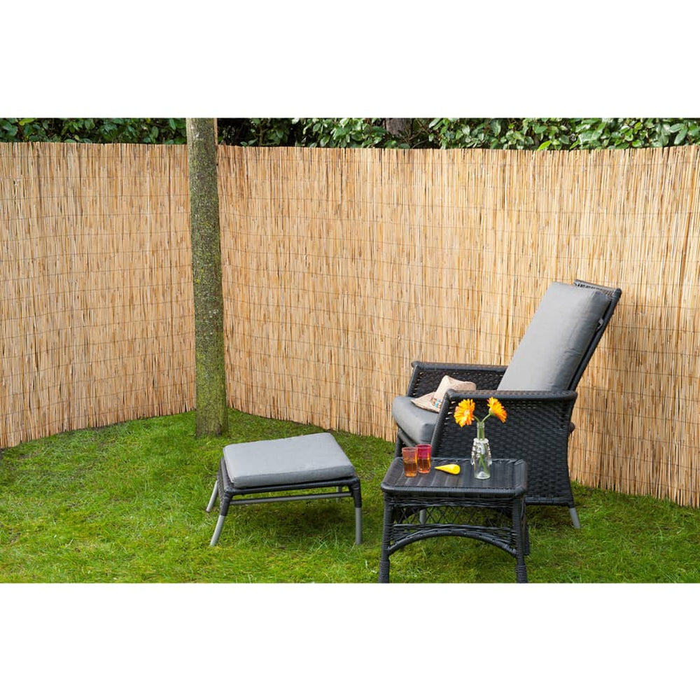Natuur Natuur Tuinschermen 2 st 500x100 bamboeriet
