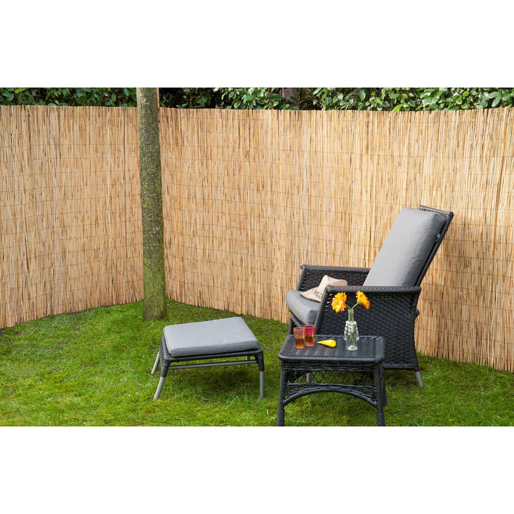Natuur Natuur Tuinschermen 2 st 500x150 bamboeriet