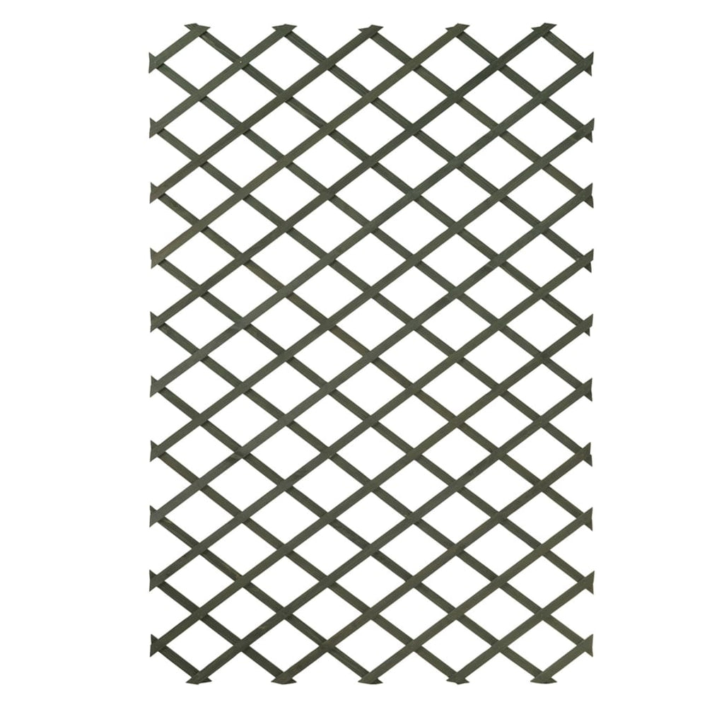 Natuur Natuur Tuinlatwerken 2 st 100x200 cm hout groen