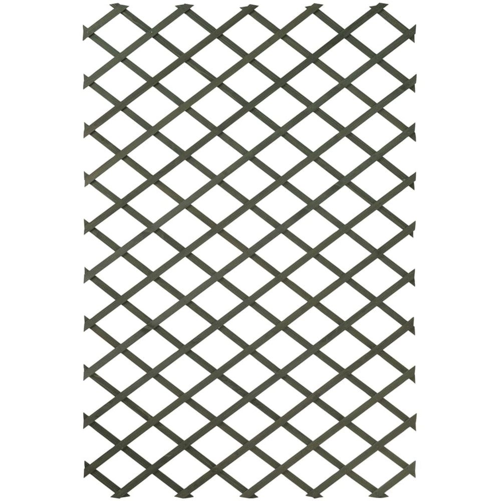 Natuur Natuur Tuinlatwerken 2 st 50x150 cm hout groen