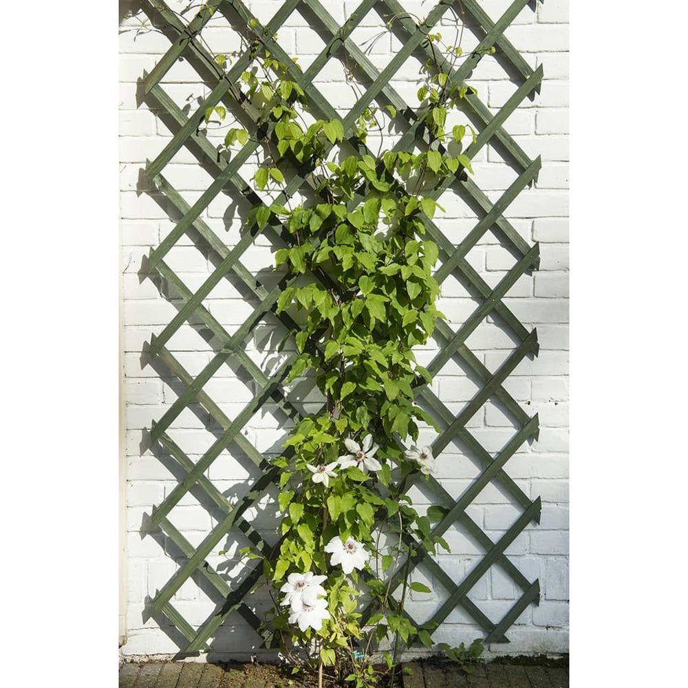 Natuur Natuur Tuinlatwerken 2 st 50x150 cm hout groen