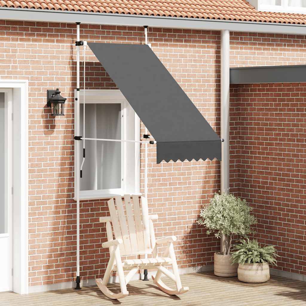 Vidaxl luifel handmatig uittrekbaar 100 cm antraciet