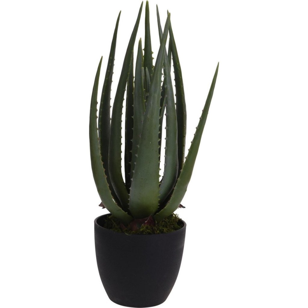 ProGarden ProGarden Kunstplant in pot Aloë Vera 25x45 cm