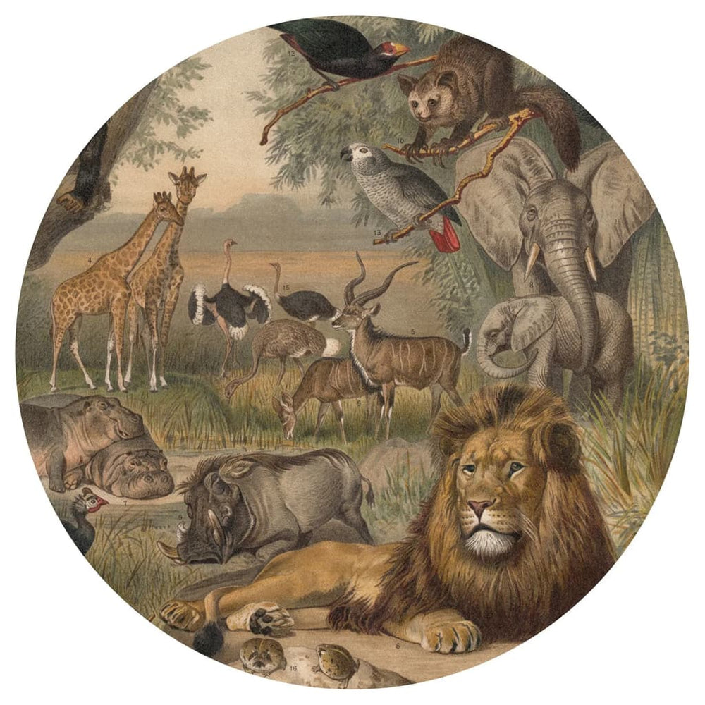 Wandkunst behangcirkel dieren van afrika 142,5 cm