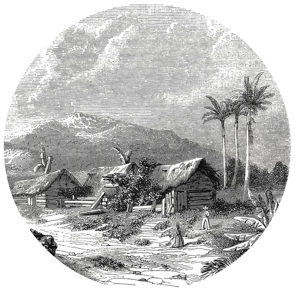 Wandkunst behangcirkel landschap van guadeloupe 190 cm