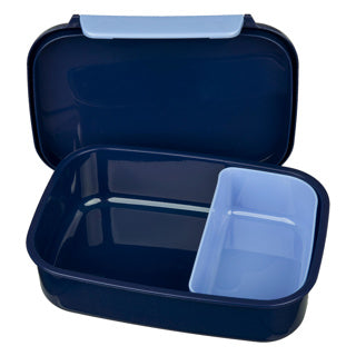 Lunchbox frozen | 4 stuks