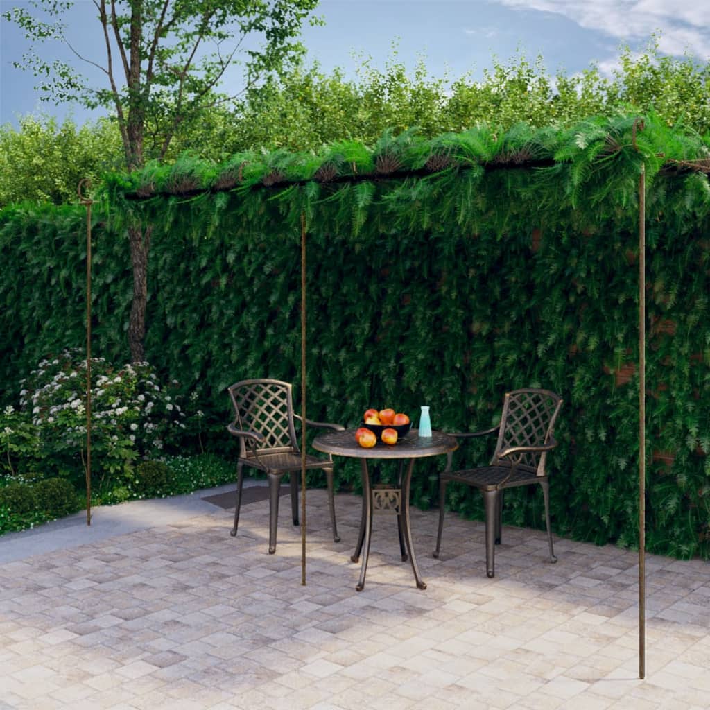 Vidaxl tuinpergola 6x3x2,5m ijzer antiekbruin