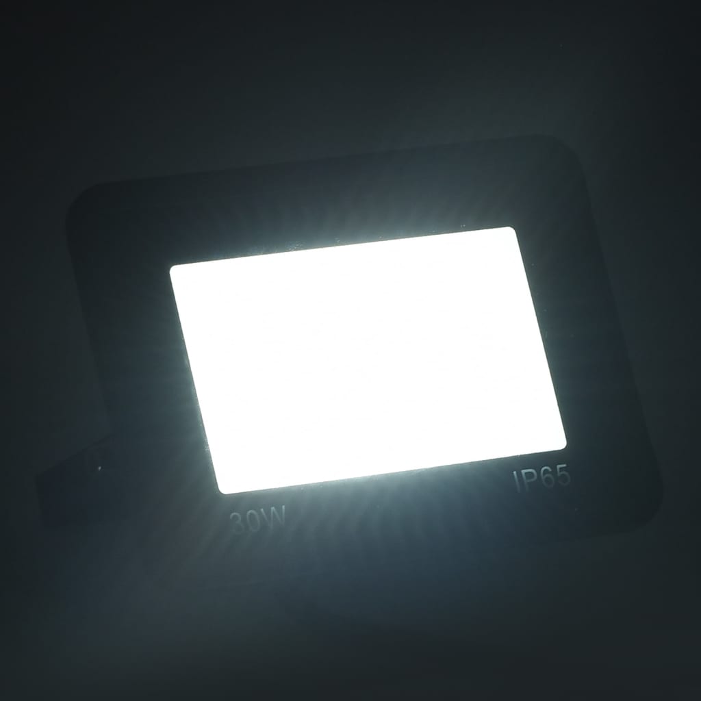 Vidaxl spots 2 st led 30 w koudwit