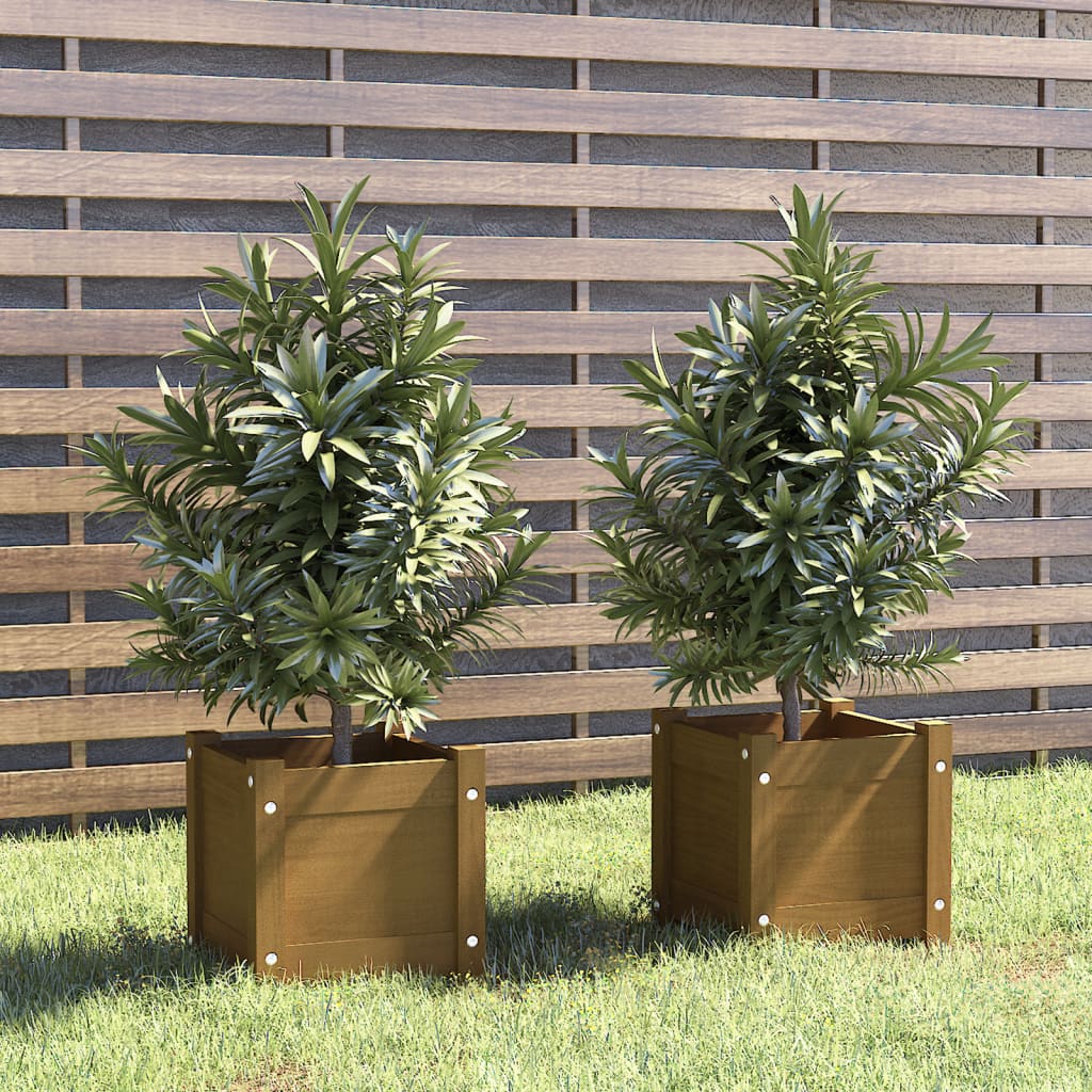 VidaXL Plantenbakken 2 st 31x31x31 cm massief groenhout honingbruin