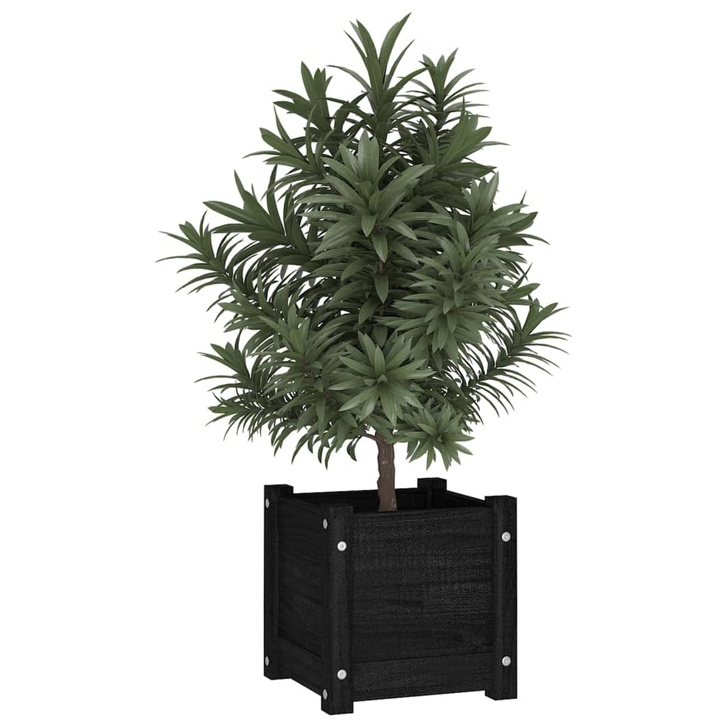 Vidaxl plantenbak 31x31x31 cm massief groenenhout zwart
