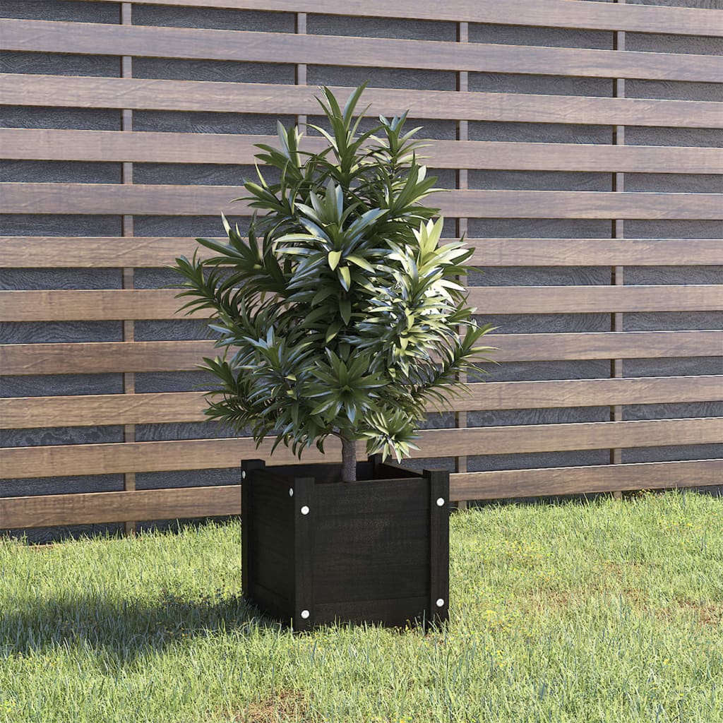 Vidaxl plantenbak 31x31x31 cm massief groenenhout zwart