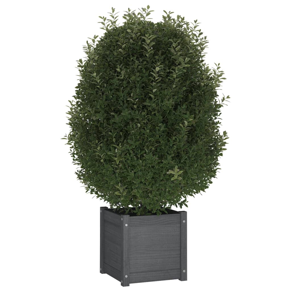 Vidaxl plantenbak 40x40x40 cm massief groenenhout grijs