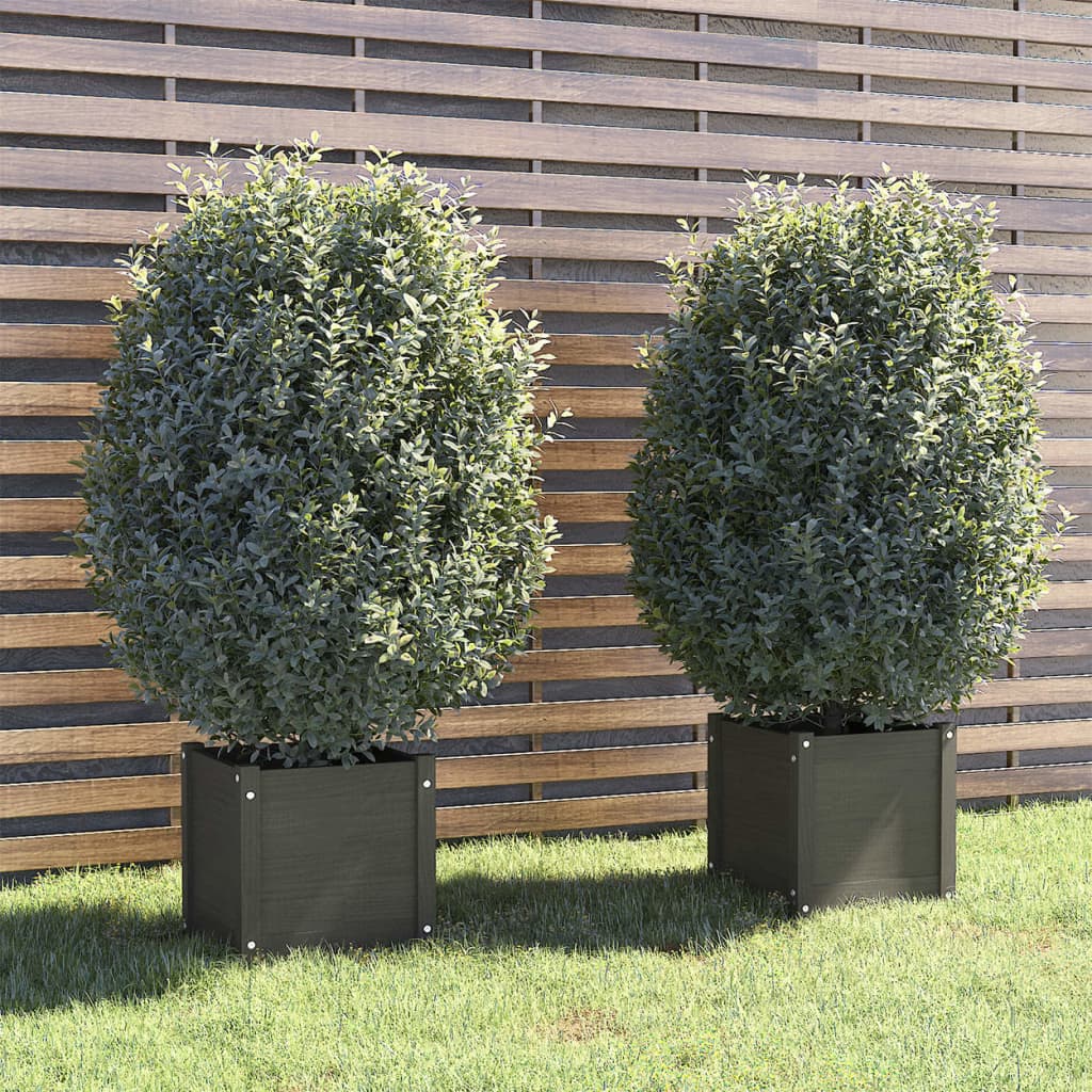 VidaXL Plantenbakken 2 st 40x40x40 cm massief groenenhout grijs