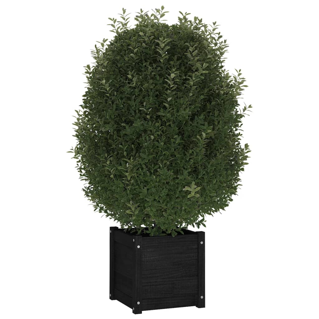 Vidaxl plantenbak 40x40x40 cm massief groenenhout zwart