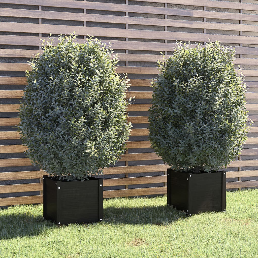 VidaXL Plantenbakken 2 st 40x40x40 cm massief groenenhout zwart
