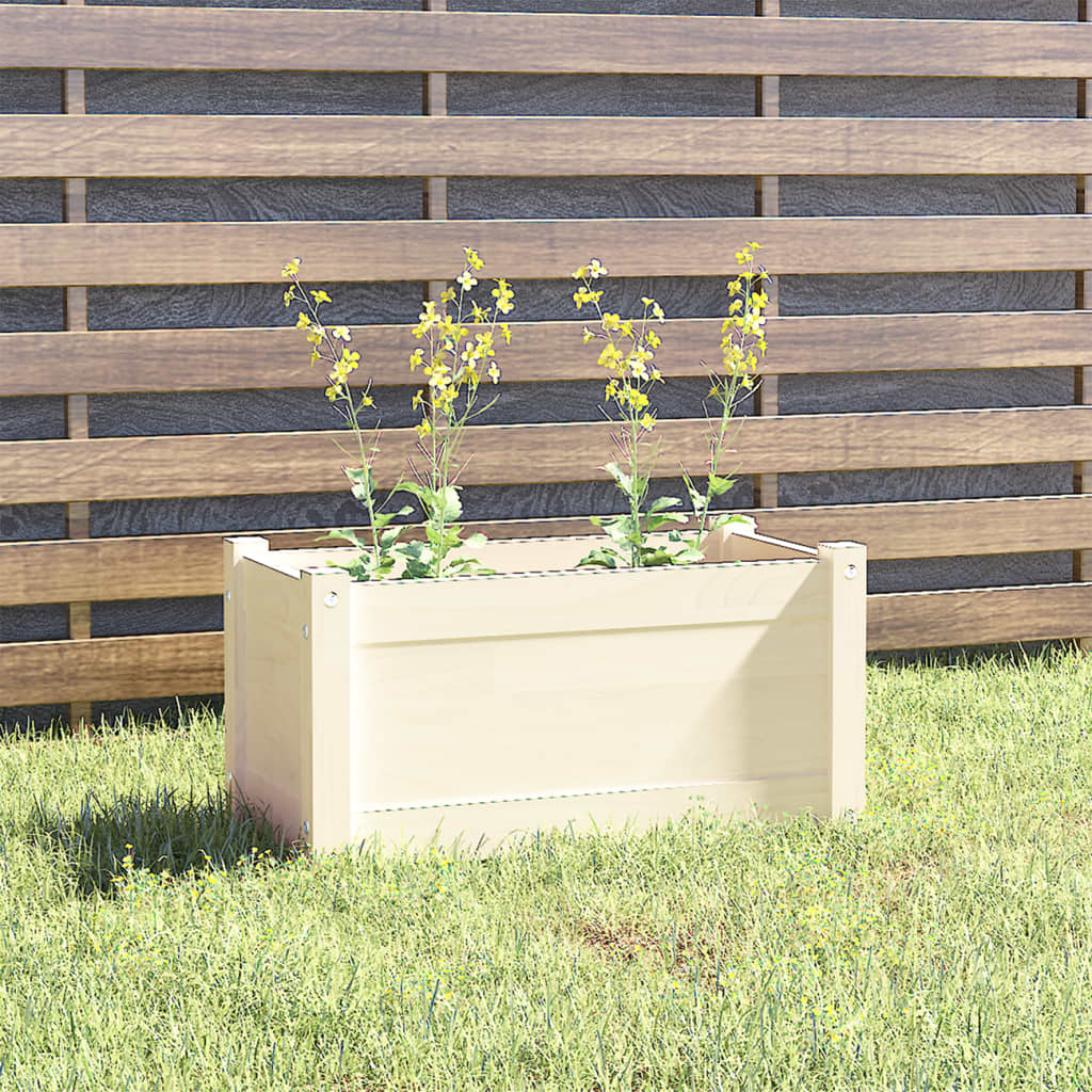 Vidaxl plantenbak 60x31x31 cm massief groenhout wit