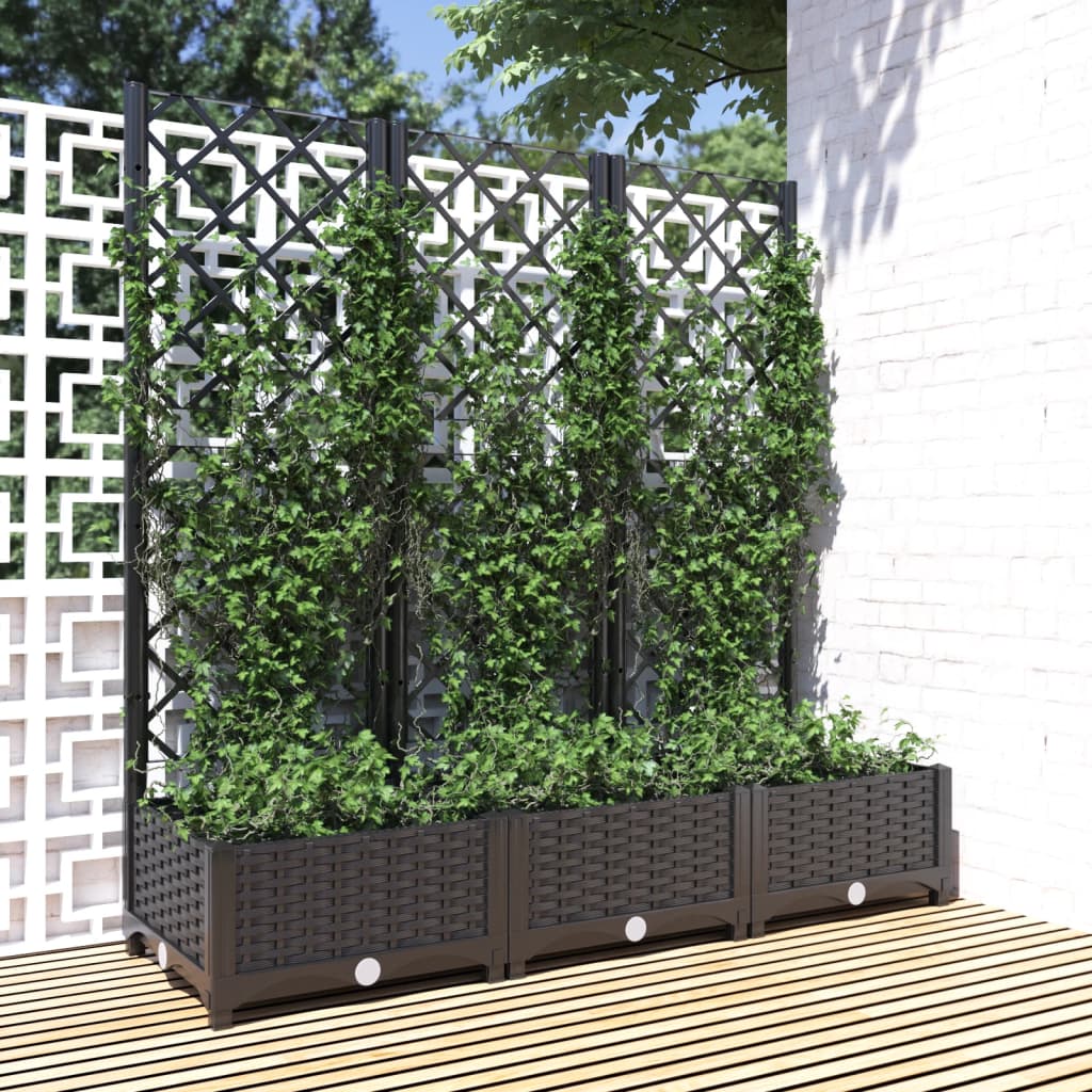 Vidaxl plantenbak met trellis zwart 120x40x121,5 cm pp