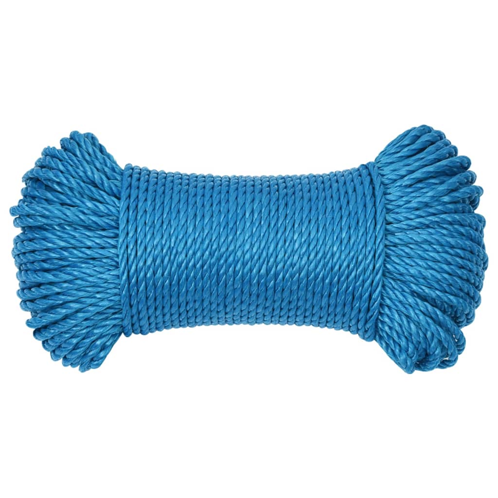 Vidaxl werktouw 6 mm 25 m polypropeen blauw