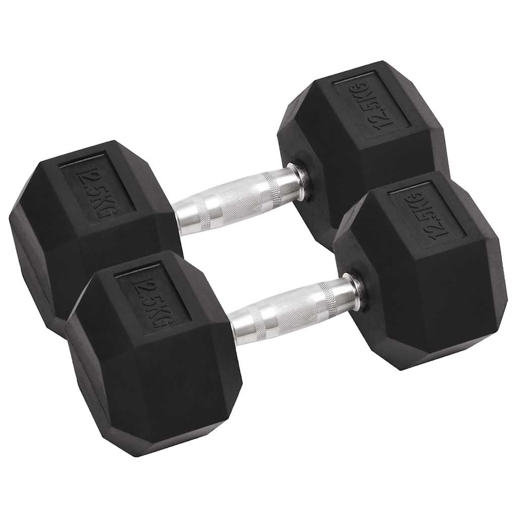 VidaXL Halsters 2 st 25 kg gietijzer