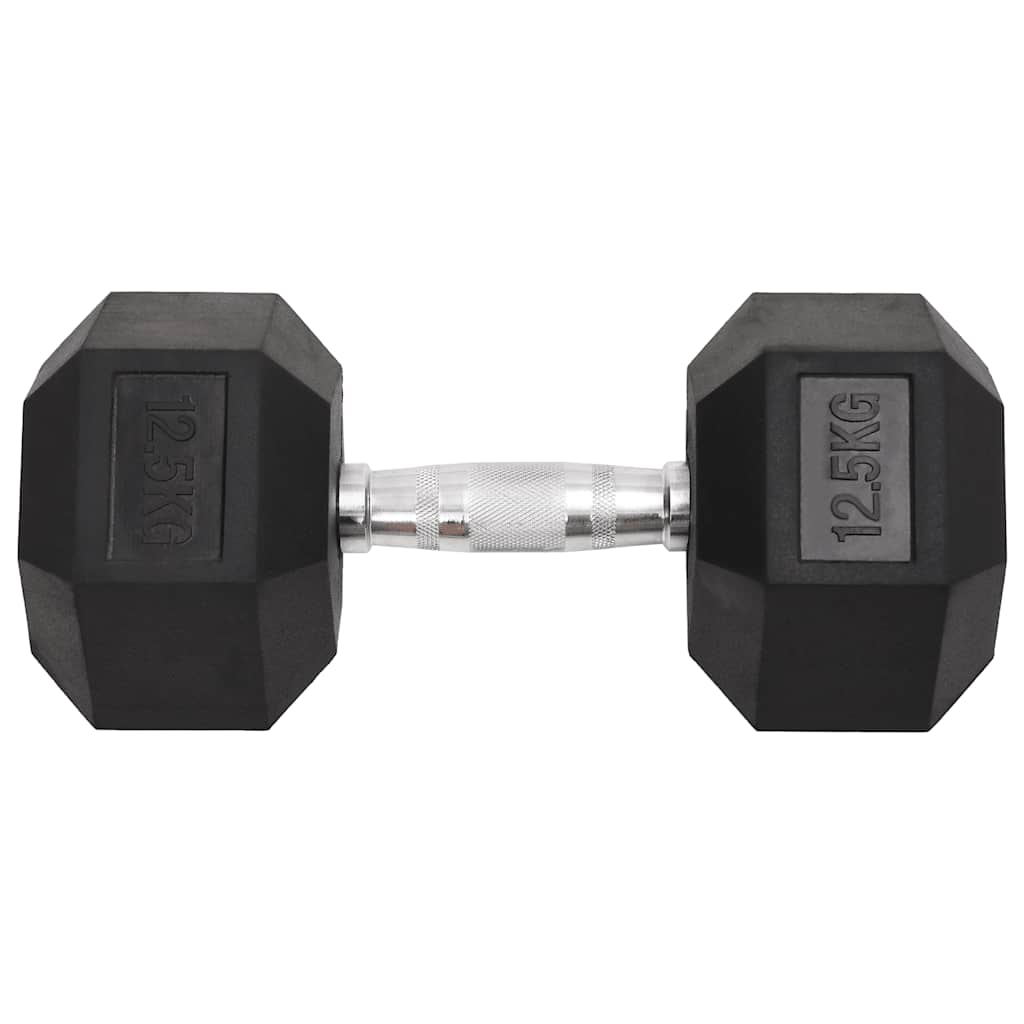 VidaXL Halsters 2 st 25 kg gietijzer