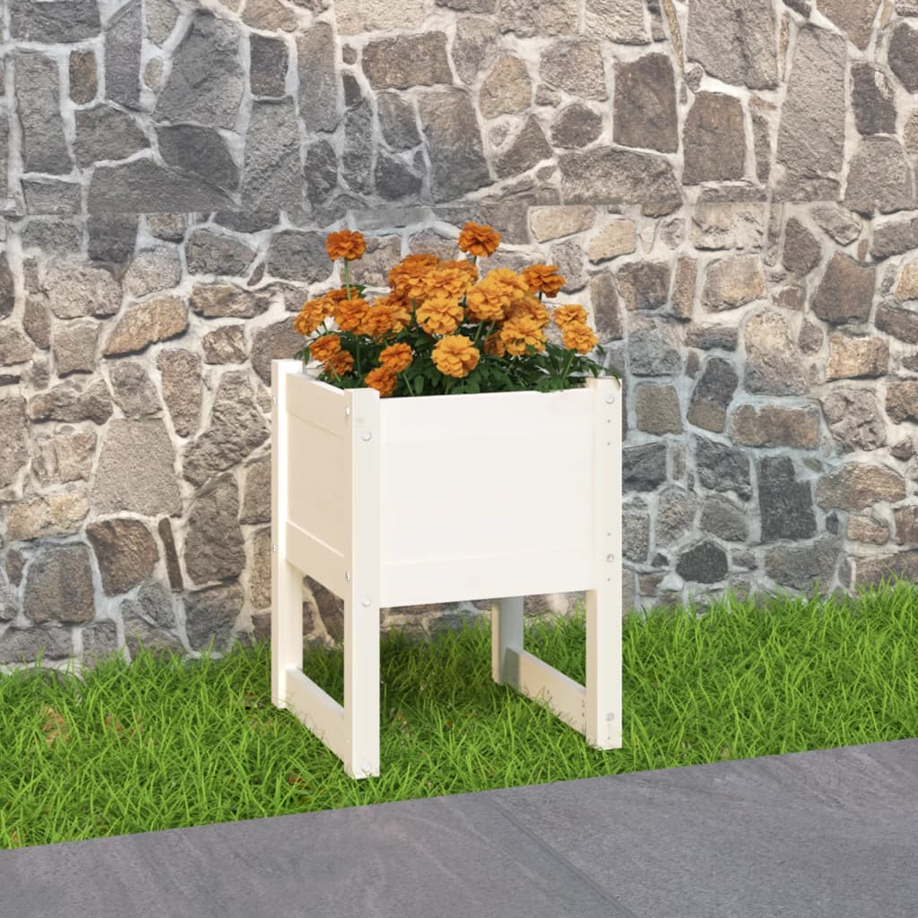 Vidaxl plantenbak 40x40x52,5 cm massief groenhout wit