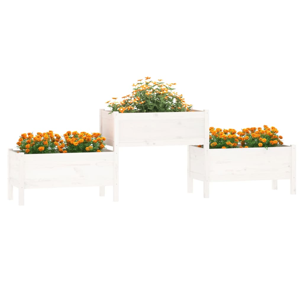 Vidaxl plantenbak 245,5x44x75 cm massief groenhout wit