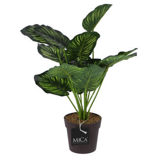 Mica decoraties kunstplant calathea in pot groen 40 cm