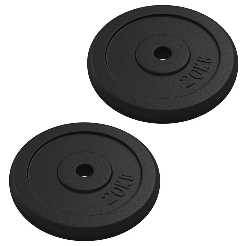 VidaXL Halterschijf 40kg gietijzer