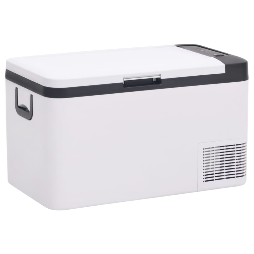 Vidaxl koelbox met handvat 25 l pp pe zwart en wit