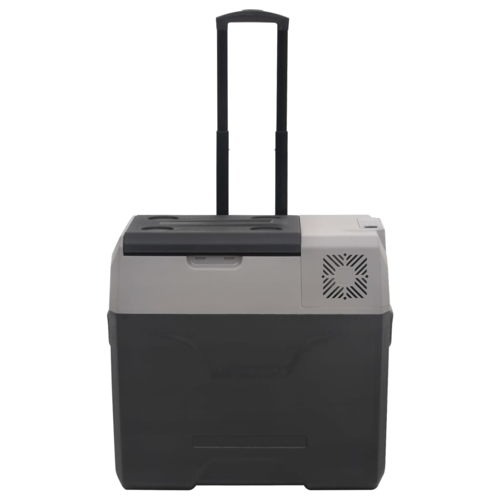 Vidaxl koelbox met wielen en handvat 30 l polypropeen zwart en grijs