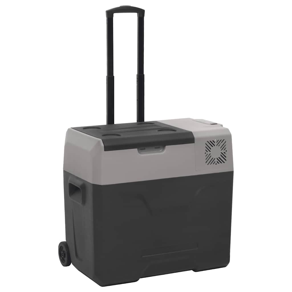 Vidaxl koelbox met wielen en handvat 40 l polypropeen zwart en grijs