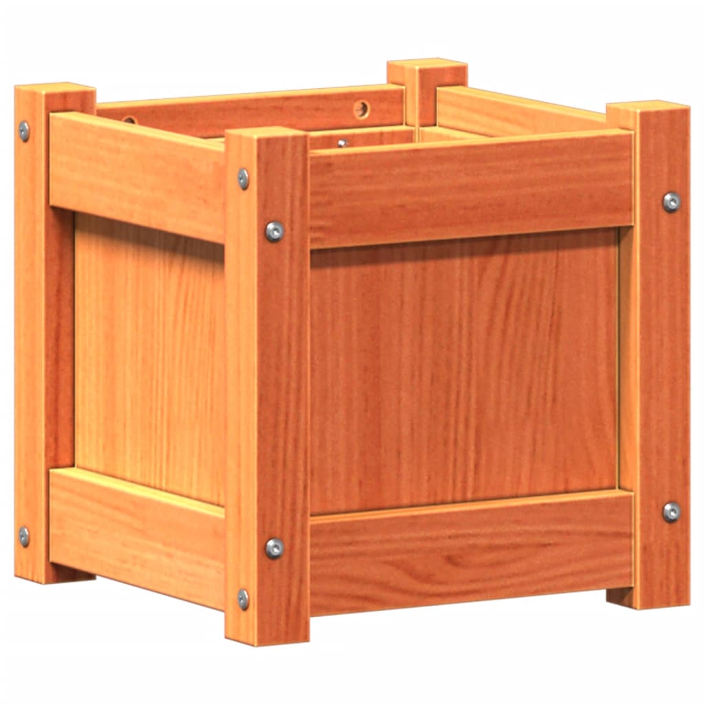 Vidaxl plantenbak 31x31x31 cm massief groenhout wasbruin