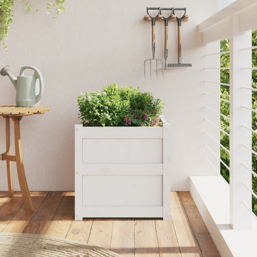 Vidaxl plantenbak 50x50x50 cm massief groenhout wit