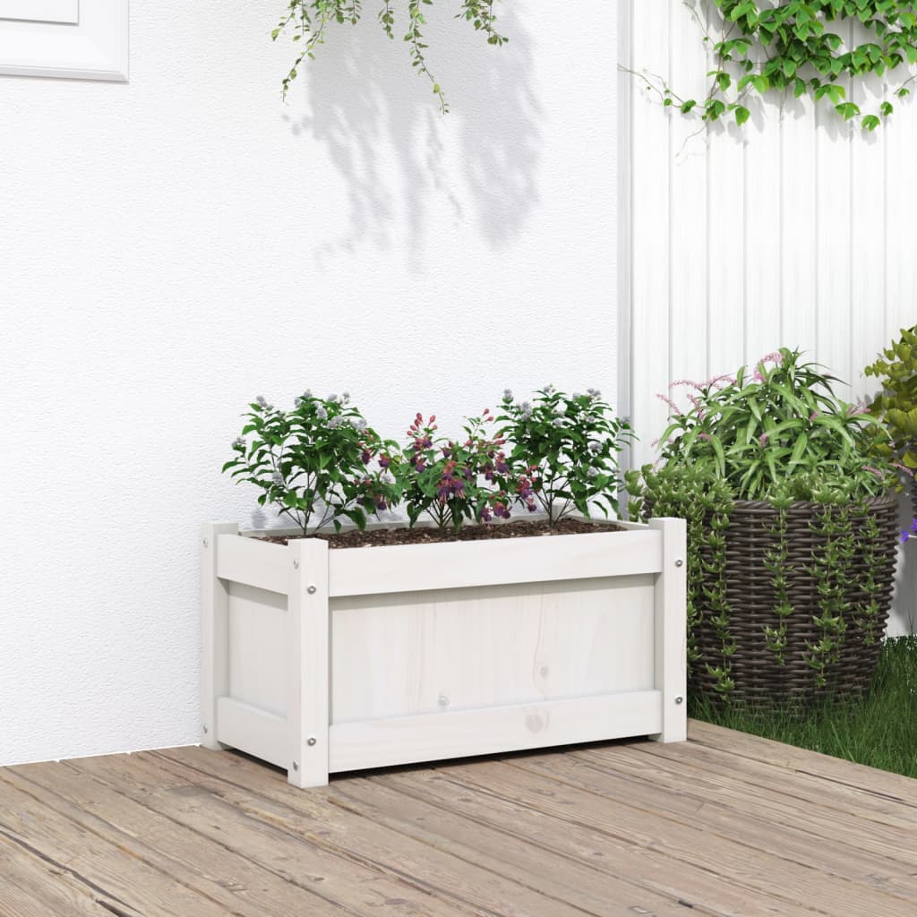 Vidaxl plantenbak 60x31x31 cm massief groenhout wit