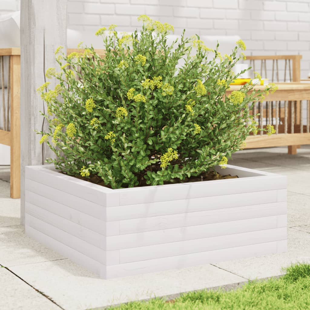 VidaXL Plantenbak 60x60x23 cm massief groenhout wit