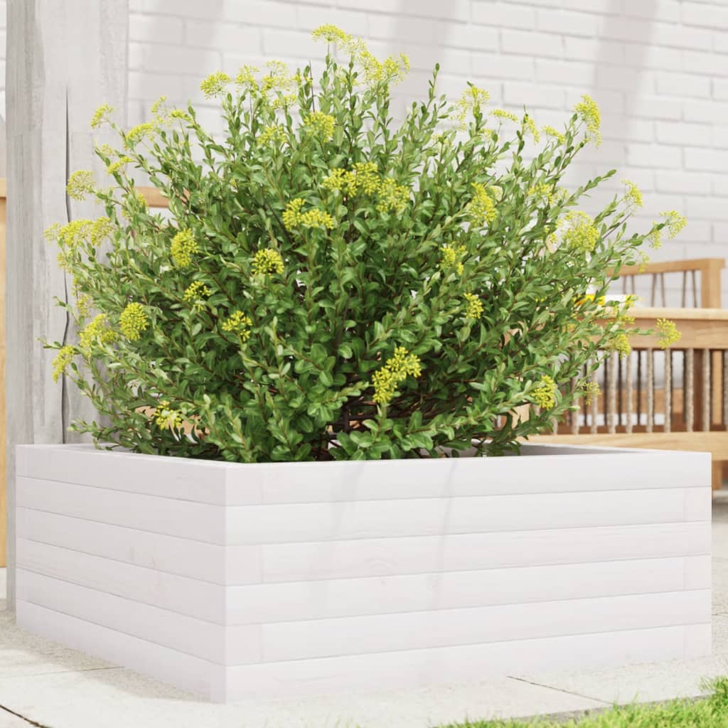 VidaXL Plantenbak 60x60x23 cm massief groenhout wit