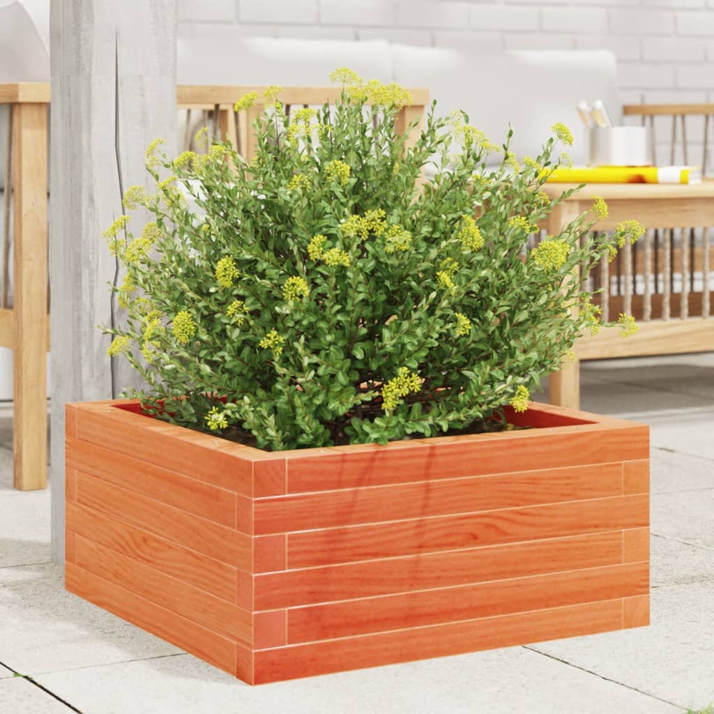 Vidaxl plantenbak 60x60x23 cm massief groenenhout wasbruin
