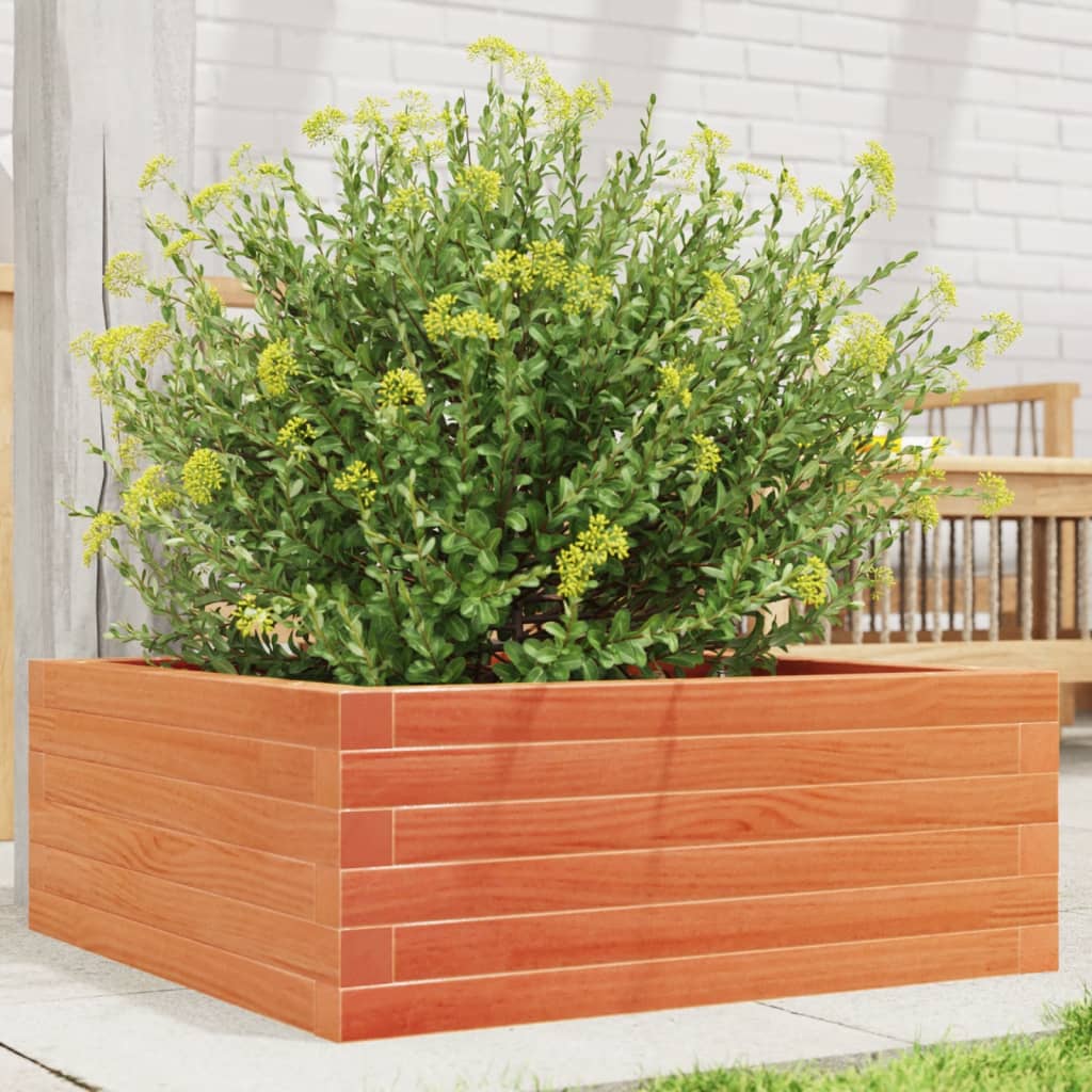 Vidaxl plantenbak 60x60x23 cm massief groenenhout wasbruin